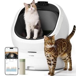 PETLIBRO Luma Automatic Cat Litter Box