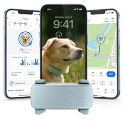 Tractive Smart Dog GPS Tracker with virtual fence and health monitoring