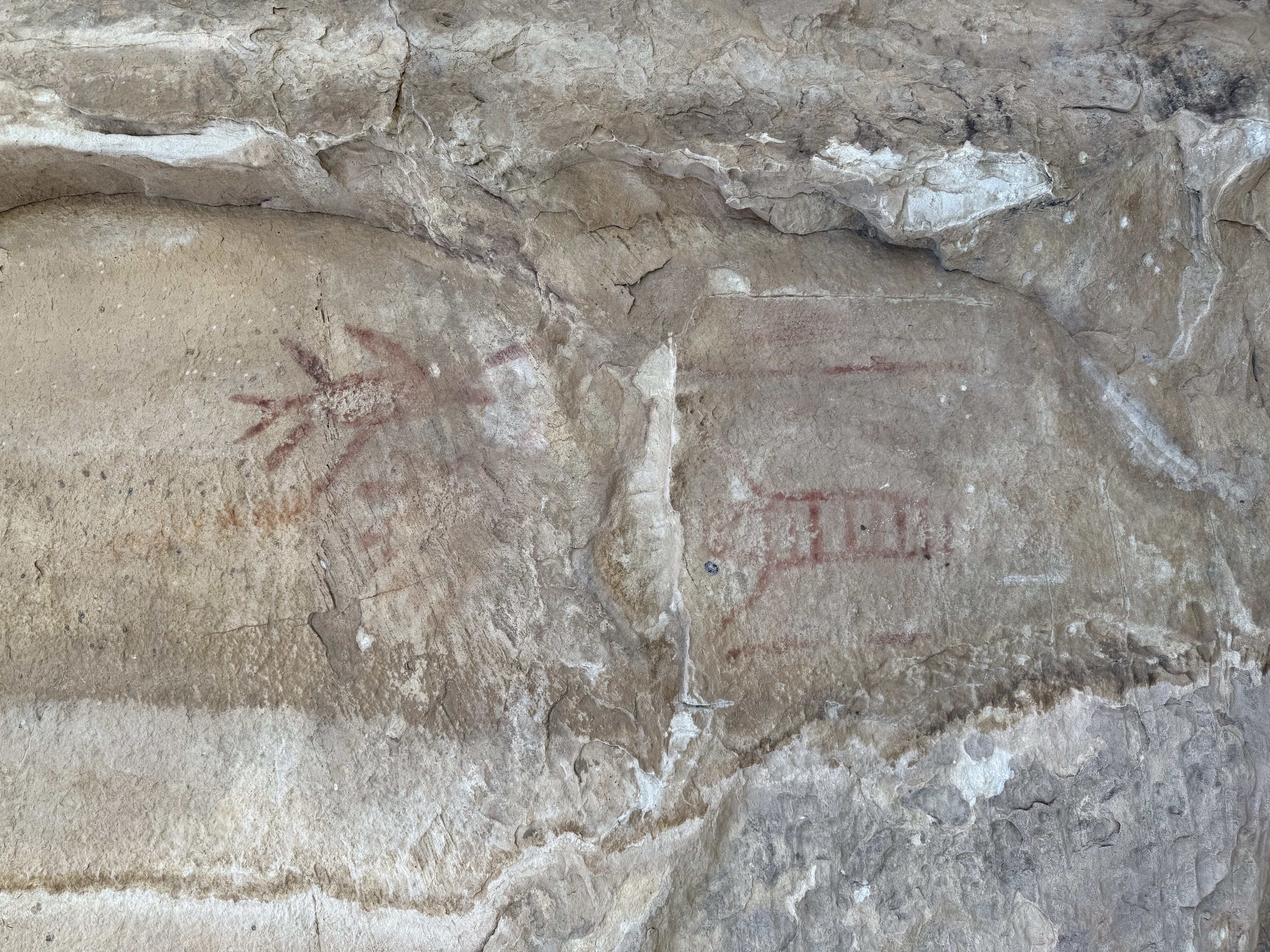 Rock hieroglyphs we discovered while searching for Justin Posey’s Beyond the Map's Edge treasure