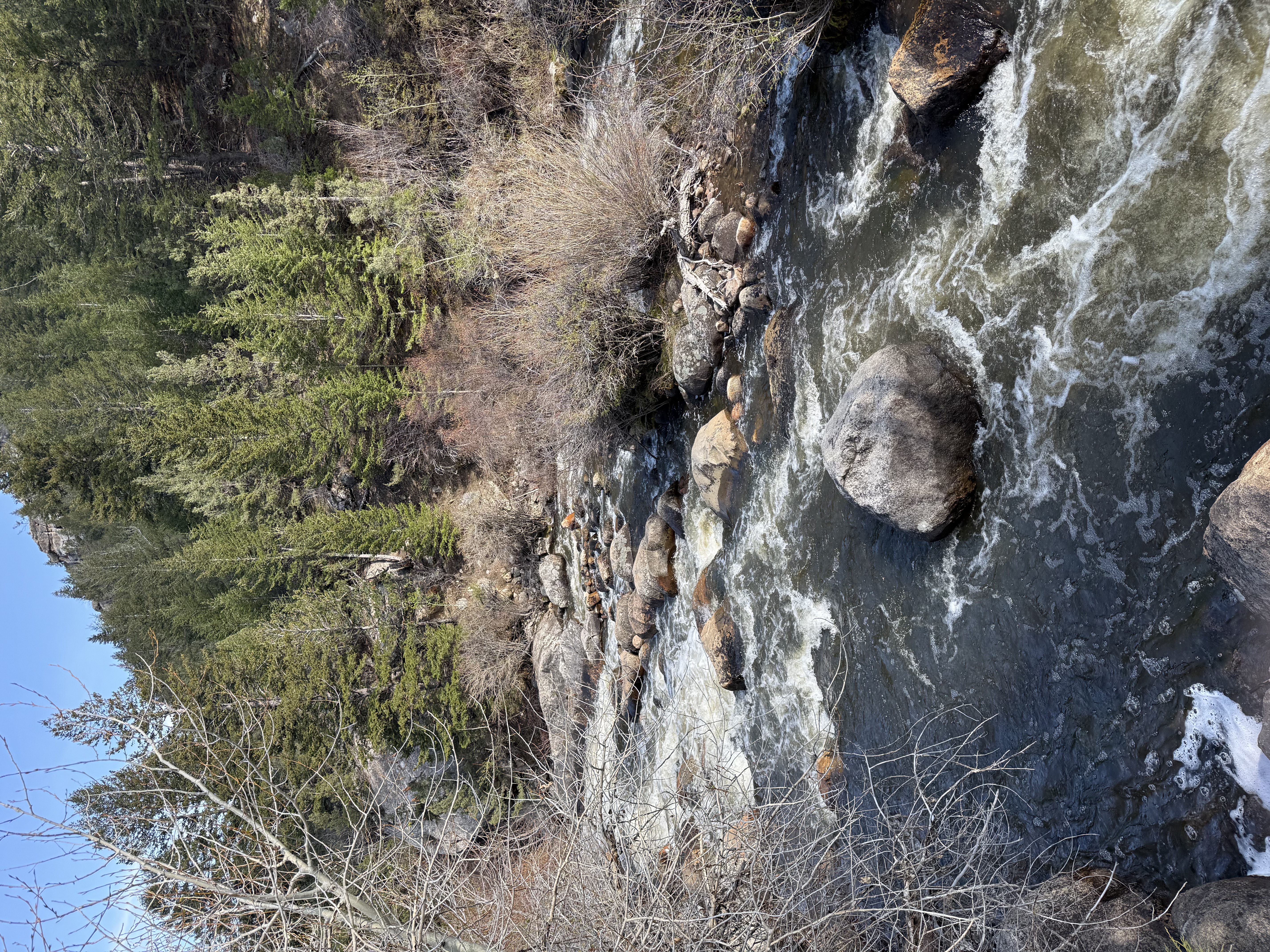 A beautiful stream we passed during our Beyond the Map's Edge treasure hunt